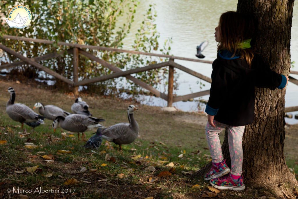 bambina paperette bambina paperette