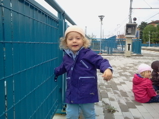 cuccioli 17 novembre 14 034