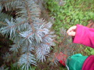 DICEMBRE 2014 GITA BIMBI 055